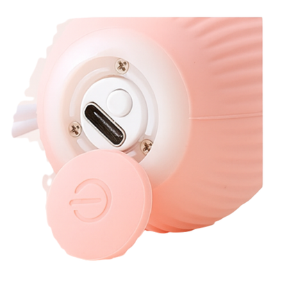 Pelota electrica para mascotas