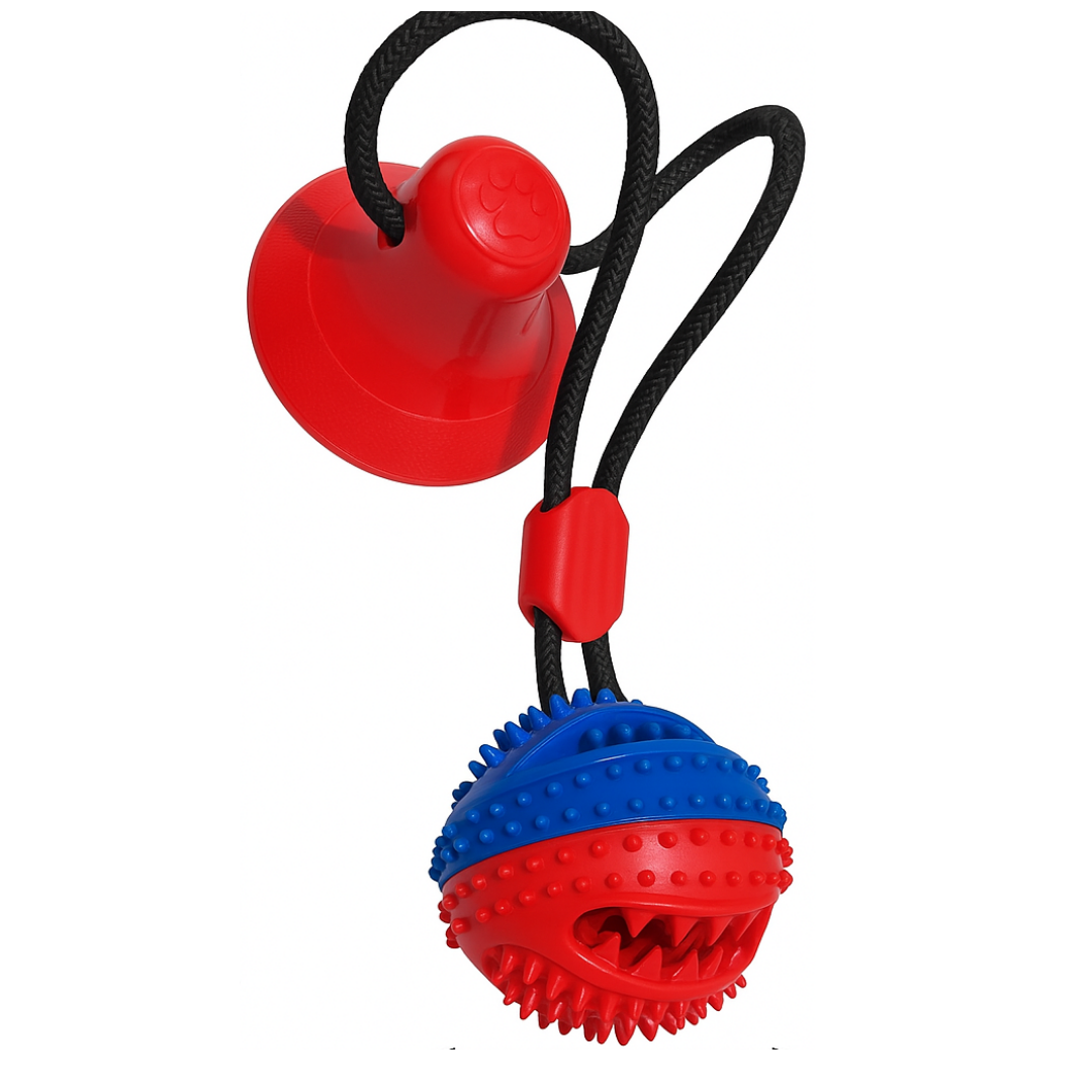 Juguete interactivo  chupa para perro