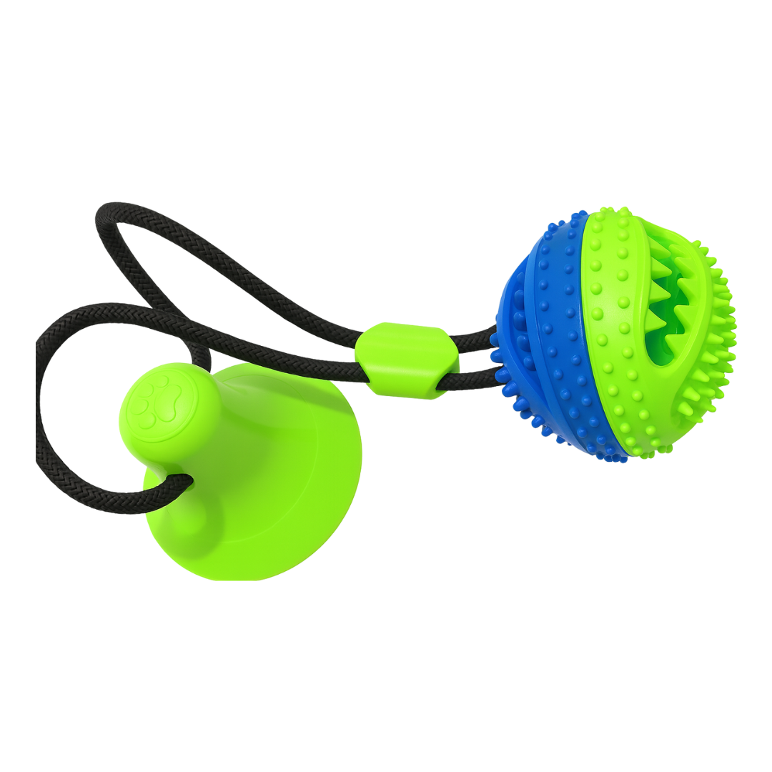 Juguete interactivo  chupa para perro