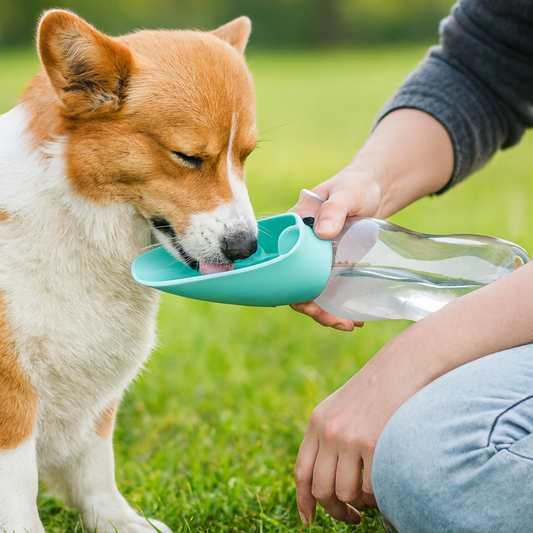 Botella 2 en 1 para perro