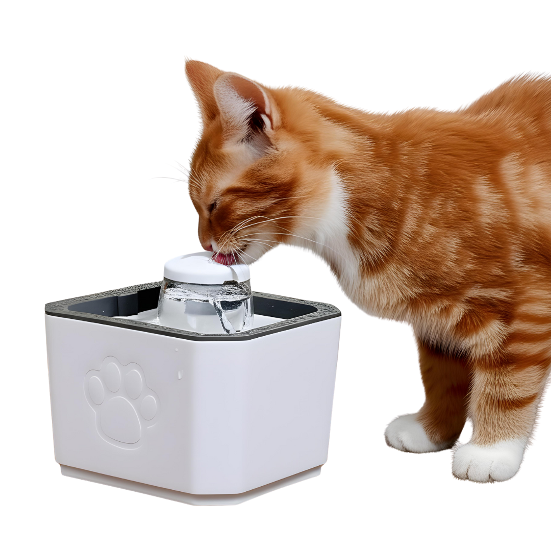 fuente de agua para mascota