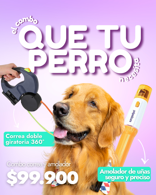 Combo correa y amolador para mascotas