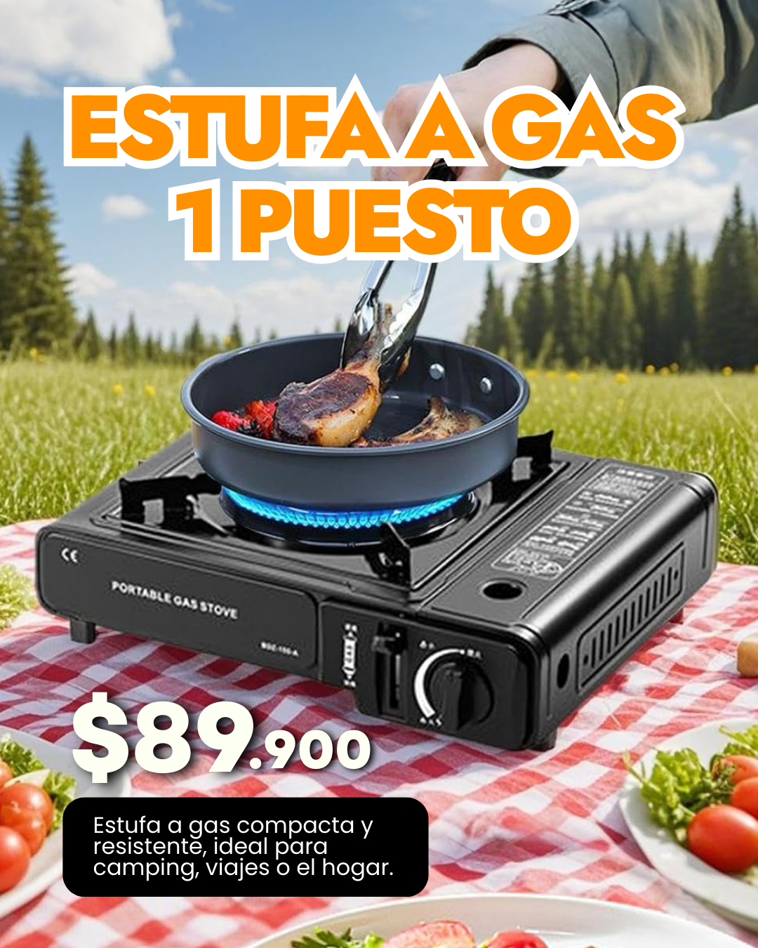 Estufa a gas 1 puesto