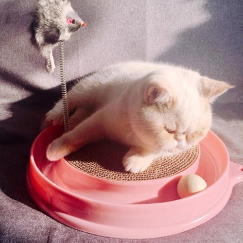 Turbo Rascador Para Gatos - Divertido Y Resistente - Gatos