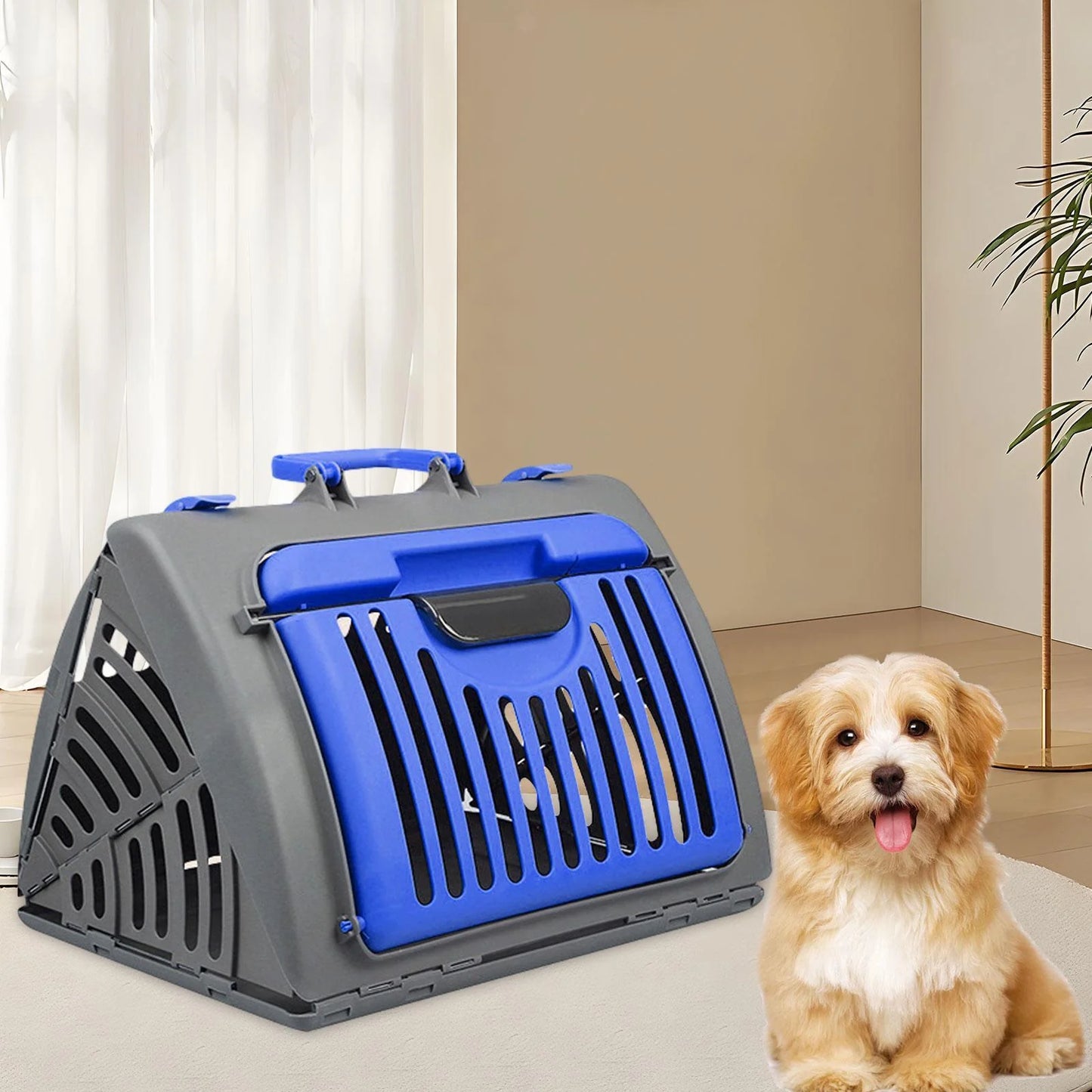 Guacal Ideal Para Mascotas Gato O Perro Tamaño Mediano