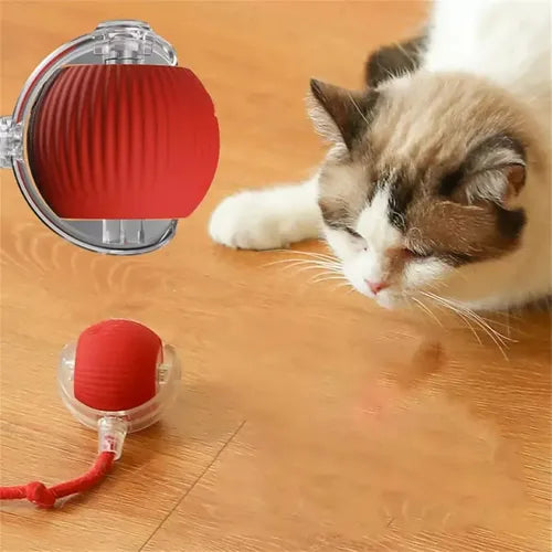 Pelota electrica con cordon para mascota