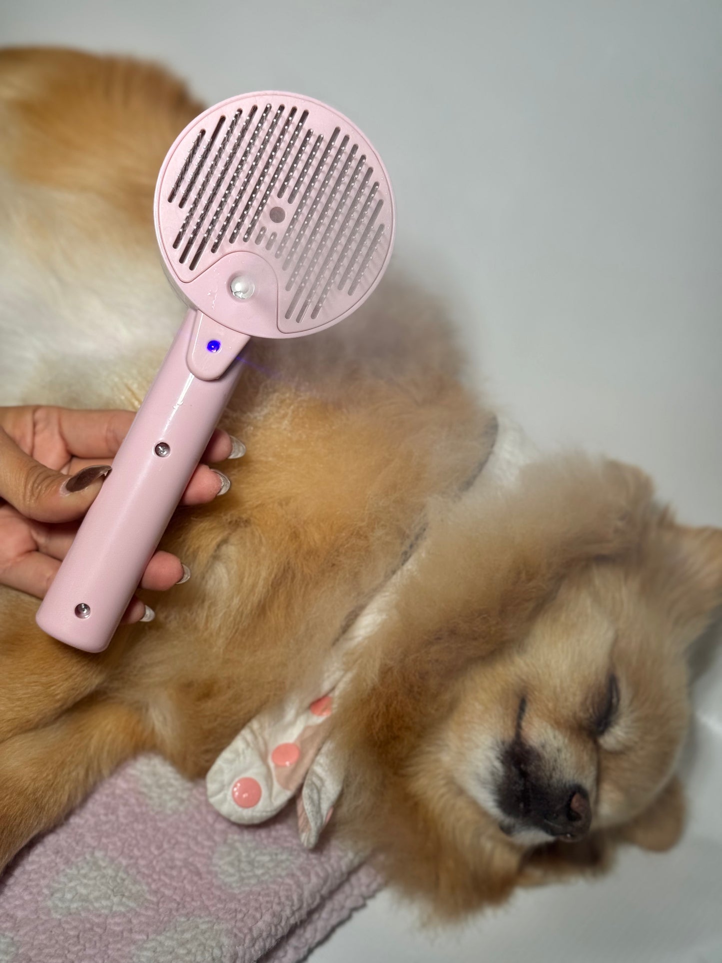 Cepillo a vapor circular