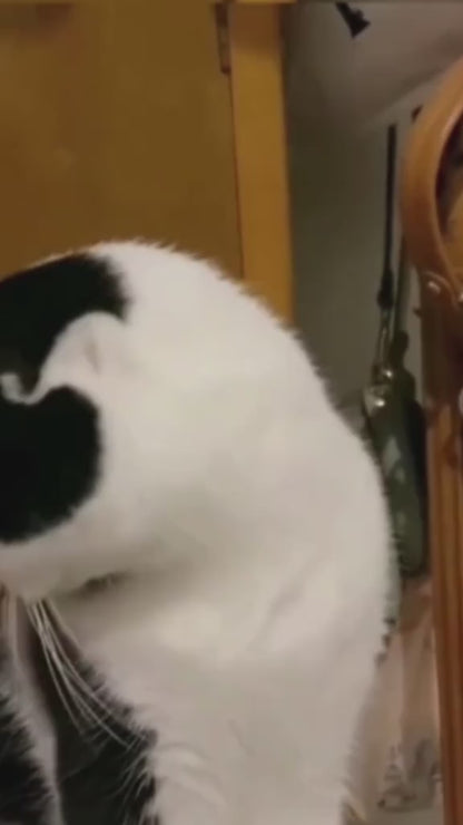 Rascador para mascota